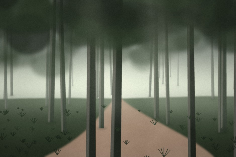 A narrow path running through a misty, ashen pine forest.
